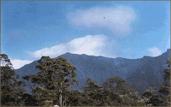 Região da Serrinha do Alambari, entorno do Parque Nacional do Itatiaia, no Bloco da Serra da Mantiqueira. Foto: H. G. Bergallo.