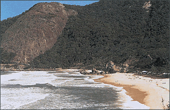 Área da APA de Grumari, no município do Rio de Janeiro. Foto: C. F. D. Rocha.