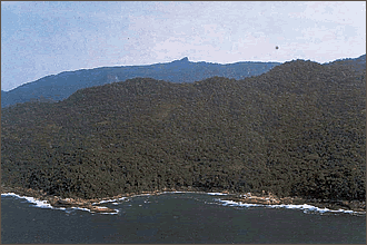 Área de Ilha Grande, Angra dos Reis, no Bloco Sul Fluminense. Foto: C. F. D. Rocha.